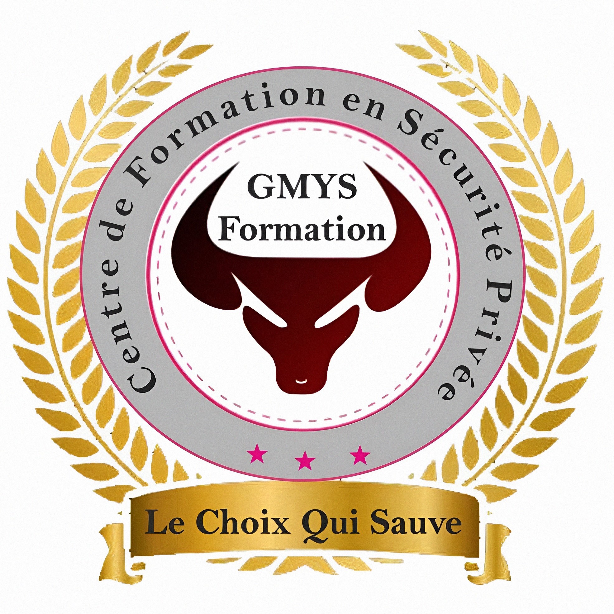 Logo du centre de formqtion